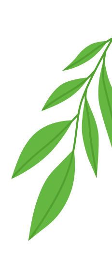 leaves_1_12
