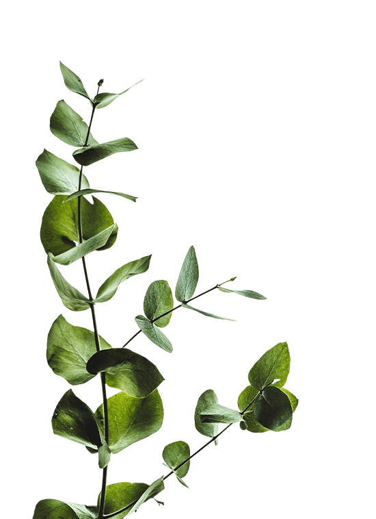 f2 png